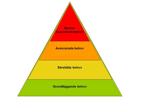 Nivåstruktur, teamarbete Grundläggande,särskilda, avancerade och mycket avancerade behov Rekommendationer Patientens grundläggande, särskilda, avancerade respektive mycket avancerade behov bör