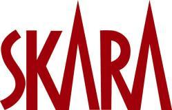 1(6) Beslutad av Skara kommun Kommunfullmäktige 151 2015-11-30 Arkivreglemente för Skara kommun Förutom de i arkivlagen (1990:782) och arkivförordningen (1991:446) intagna bestämmelserna om arkivvård