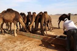 Kasbah Imdoukal http://kasbahimdoukal.com Dag 5 Onsdag. Mot Sahara.