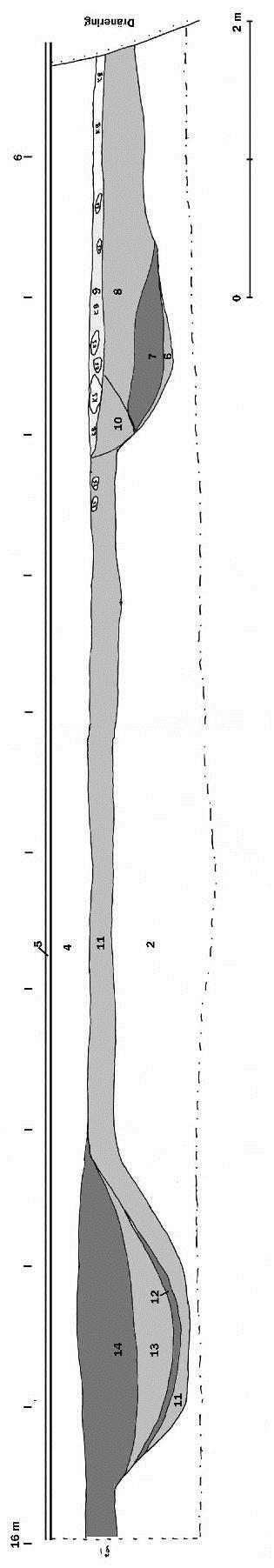 Figur 12, sektion C. 6 = Mörk svartbrun homogen sandig silt. Vattenavsatt, anrikning av kulturlager. 7 = Brungrå finkornig sand med inslag av kol och grusstråk. Vattenpåverkad, urlakat kulturlager.