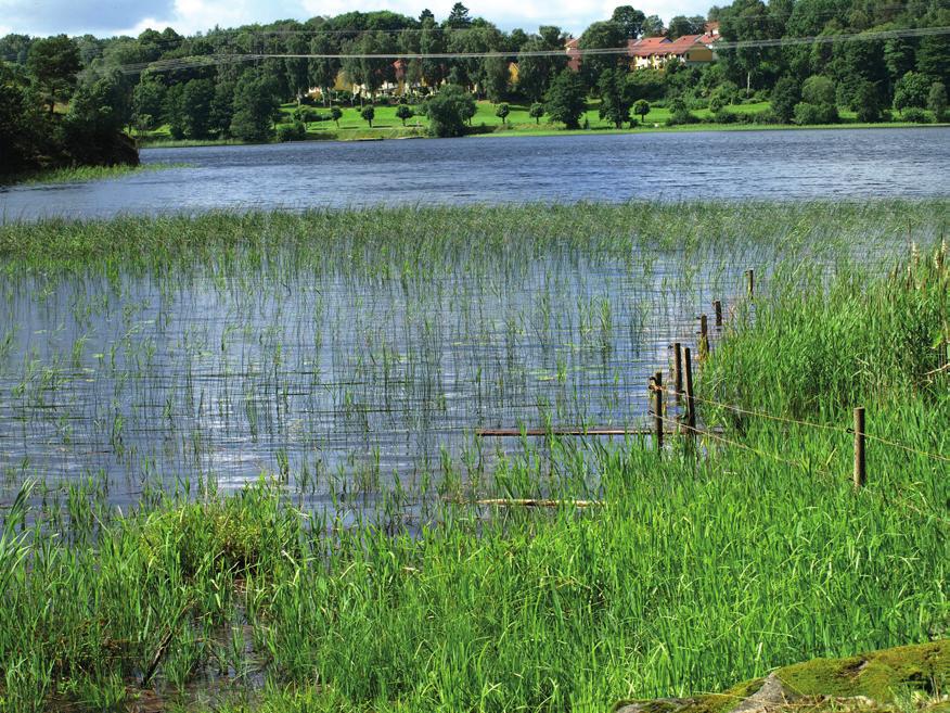 NATUR OCH MILJÖ - 1200 p De fyra räknesätten Klockan Pengar och betalning Djur och växter Människokroppen, hälsa och