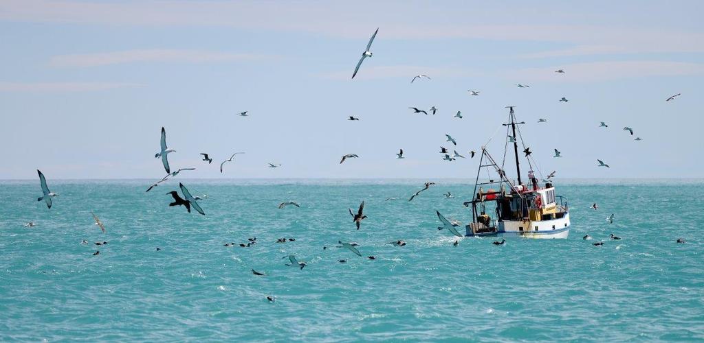 8. Arjan de Vries En fiskebåt till havs. Solen kommer in från höger i bild. Vattnet är turkost och vågigt. Båten är på väg mot det land som skymtar i horisonten. En fiskare står hukad på däck.