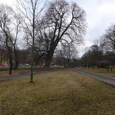 utvecklingen till en öppen stenstad omgiven av ett parkstråk samtidigt som området i sig självt har stora rekreations- och estetiska värden.