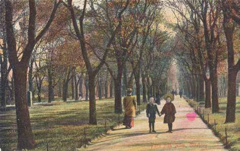 Kungsparken och Nya Allén Det gröna bältet ger tillsammans med Vallgraven och Rosenlundskanalen en mycket tydlig och lätt uppfattbar gräns mellan den gamla befästa staden innanför vallgraven och och