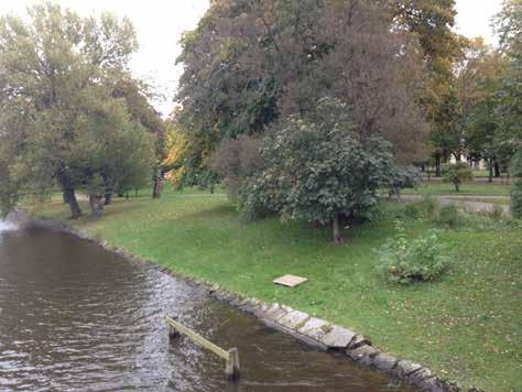 Kungsparken och allén kan liknas vid en grön omslutande årsring som tryggar stadens historiska läsbarhet utan distraherande avbrott med byggnader och andra typer av anläggningar hela vägen från