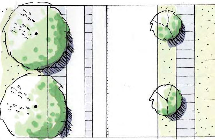 Plantering av trädrad i gräsremsa ger ett tätare grönt gaturum. Längsgående kantstensparkering/angöring på Tallbackaskolans sida.