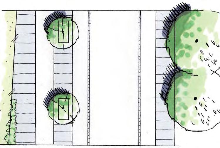 Klätterväxter mot bullerskyddsplank Cykelbana Träd Parkering/ angöring Fris Körbana Fris Parkering/ angöring Min. 2.5 2.0-2.5 2.5 2.0 7.