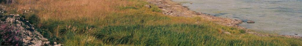Längs kusten i Norrbottens län finns förutsättningar för erosion i kustkommunerna, Piteå, Luleå, Kalix och Haparanda. Kuststräckor med förutsättningar för erosion redovisas på kartorna 2, 4 och 6.