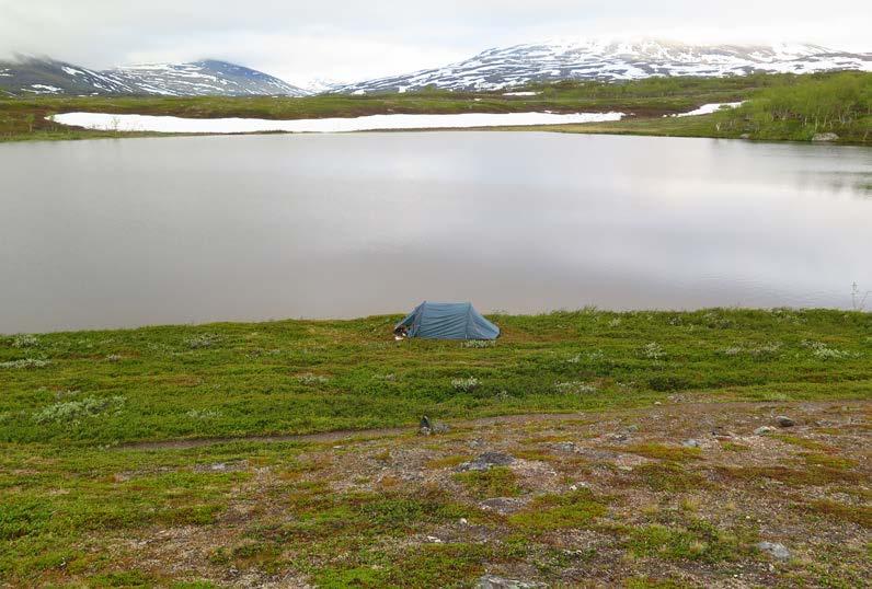 Allemansrätten I Sverige är allemansrätten grundlagsfäst. Den ger dig möjlighet att vistas i naturen så länge du gör det utan att störa eller förstöra.