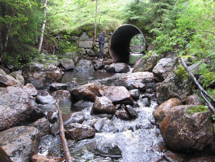 3. Åtgärder för att öka naturvärdena och den biologiska mångfalden i Sävarån ur ett större perspektiv Vattenkvalité För att vattenlevande djur ska kunna överleva är vattenkvaliteten den mest