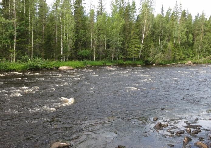 höver därför återställas till ett så naturligt skick som möjligt. Det är här flottledsåterställningen kommer in i bilden.