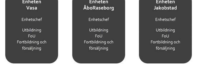 Ab Yrkeshögskolan vid Åbo Akademis, bolagsstämmans och styrelsens uppgifter och befogenheter