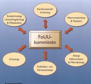 sjukhuset skapades. Strukturen hämtades huvudsakligen från den beredningsorganisation som dåvarande Medicinska forskningsrådet hade med ämnesspecifika expertgrupper.