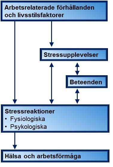 7.6.2 Hur stressrelaterad ohälsa uppstår Det finns olika teoretiska modeller som beskriver sambanden mellan stressexponering, stressrespons och hälsoeffekter, bland annat beroende på om perspektivet