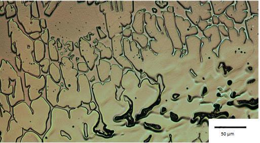Brottytan på provstaven dragen vid testtemperaturen 800 C. Mikrostrukturen visar en grundmassa av ferrit och öar av austenit. I ferriten ser det ut som utskiljning av kromnitrider. Figur 71.