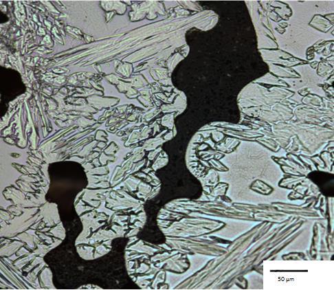 Mikrostrukturen visar en grundmassa av ferrit och öar av austenit. Figur 101. Provstaven varmdrogs vid testtemperaturen 1400 C.