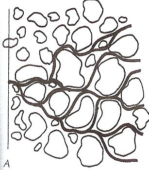 Fig. 2. Variation i flödesväg som ger upphov till vertikal dispersion (Fetter, 2001). Transversell och vertikal transversell dispersion är i regel mindre än en longitudinell dispersion.