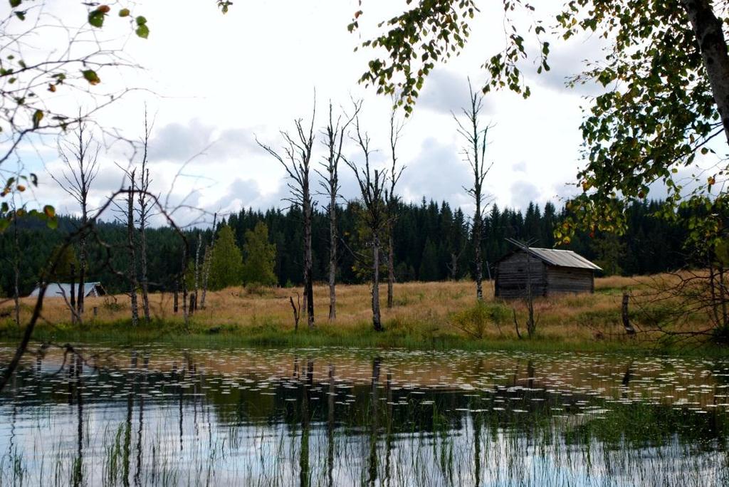 13 Här fanns lämningar efter en smedja och ett antal gropar efter sommargravar, vilka användes tills det blev vinterföre och kistorna kunde forslas till kyrkogården i Nås.