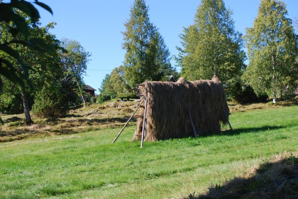 15 Hässja vid Skattlösberg Så kom vi fram till Nitten eller Tallbackens by.