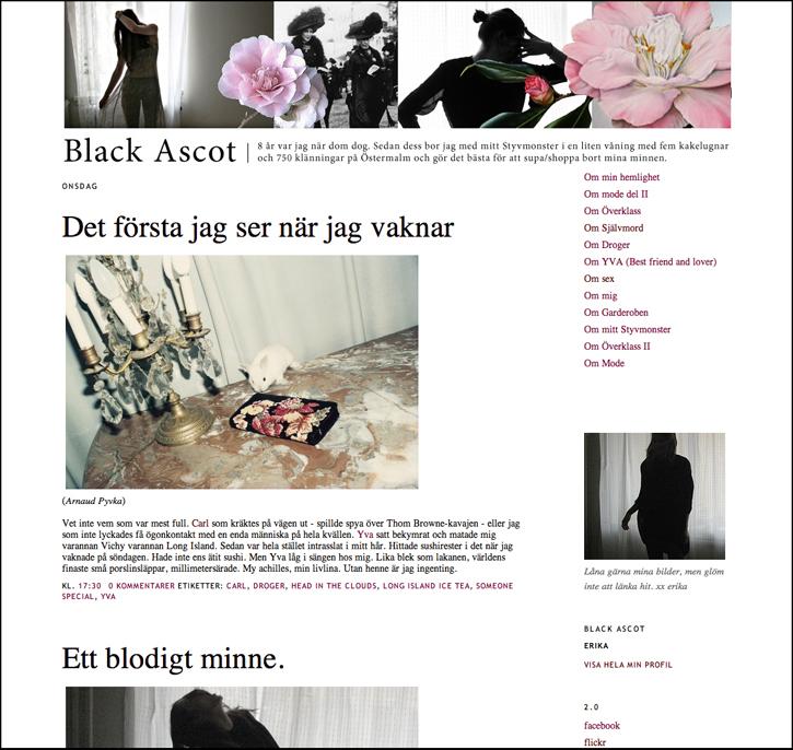 Bloggerskan Erika Ascot Ett påhitt