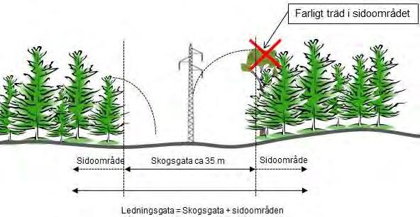 6.4 Rasering av befintlig ledning I samband med byggnation av den nya ledningen kommer befintlig 70 kv ledning raseras.