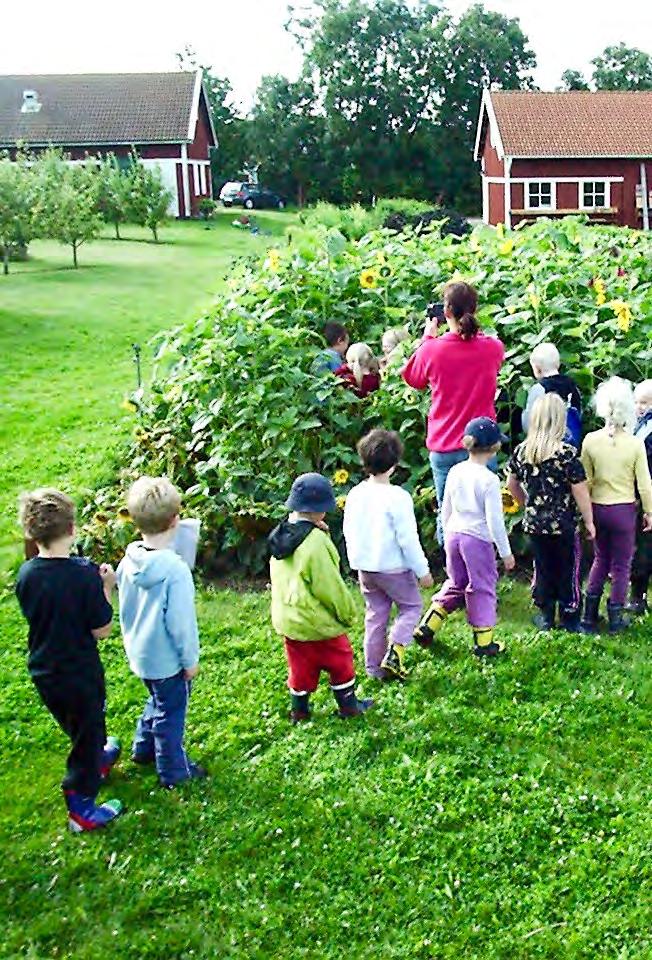 Mail med länkar Den goda skolgården för utomhuspedagogik, Maria Ernekrans Bä8re resultat när skolgården fly8ar ut, Emilia Fägerstam Gör plats för barn och unga,