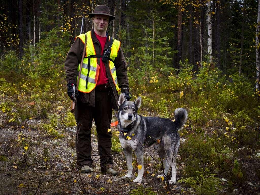 Hundansvarig Tillse att det finns tillräckligt med bra kortdrivande hundar. Kartmaterial till alla hundförare. Kommunikation. Fördela hundarna i respektive område.