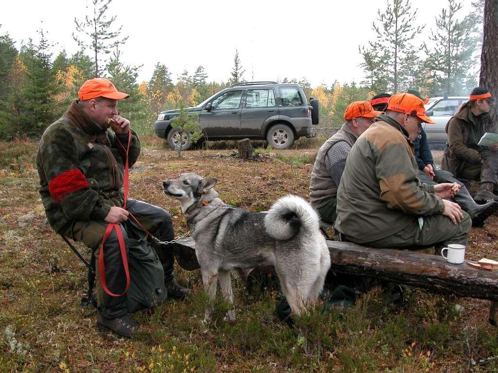 Matansvarig Gemensam lunch! Plats och tid!