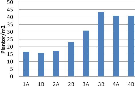 Figur 8. Antal plantor per kvadratmeter på Brunnby vid olika räkningstillfällen. A = Rapid, B = Spirit. 1 
