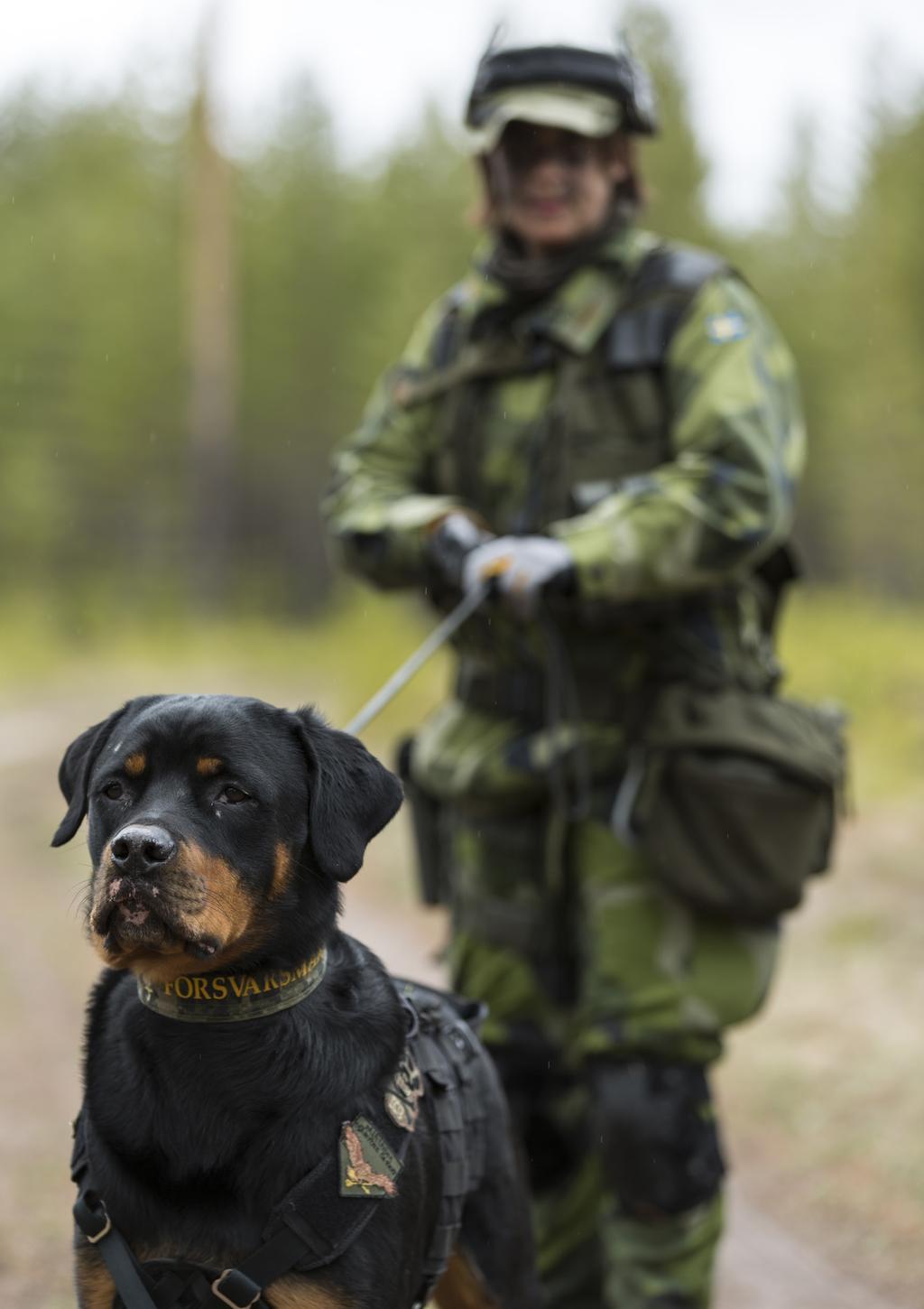 Patrullhund SVENSKA