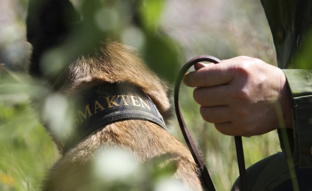 P Patrullhund Varna och bevaka atrullhundens främsta uppgift är, att med hjälp av sina välutvecklade hörsel- och luktsinnen, varna sin förare för personer i ett bevakningsområde.