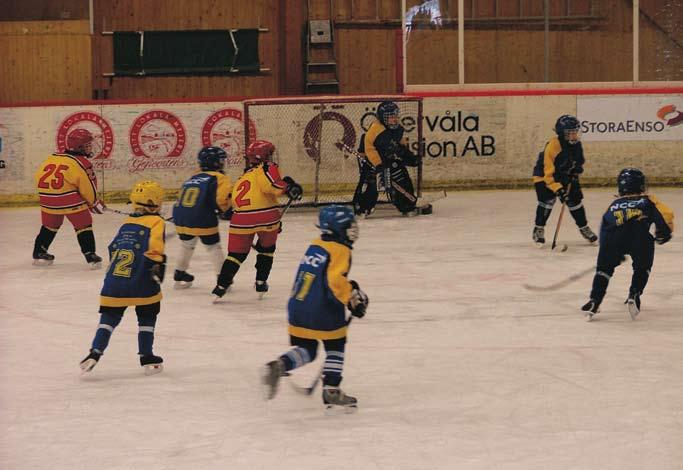 Pojkishockey i Lundahallen i Östervåla. Foto: Joachim Fabrelius. Tofters ägdes sedan 1996 av tryckerikoncernen Elanders med Carl Bennet som majoritetsägare.
