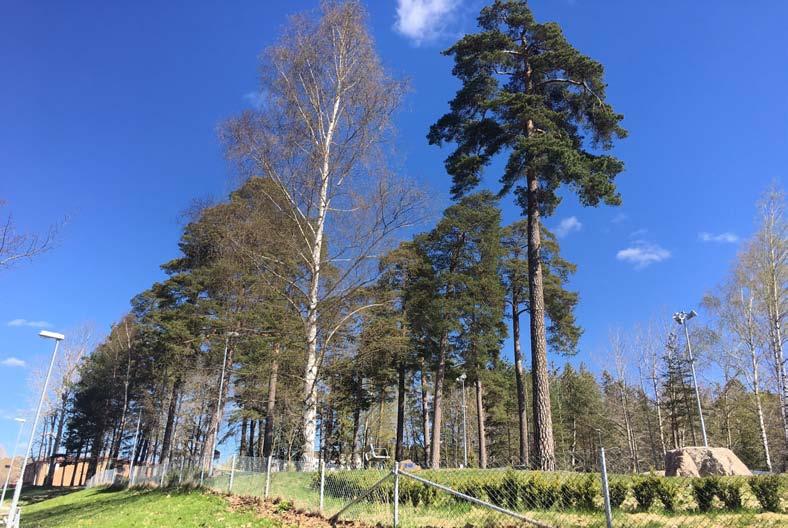 De högsta naturvärdena är knutna till tallskogsmiljöer på sandig mark. Övriga naturvärden är framför allt knutna till åsmiljön och förekomst av sandmiljöer.