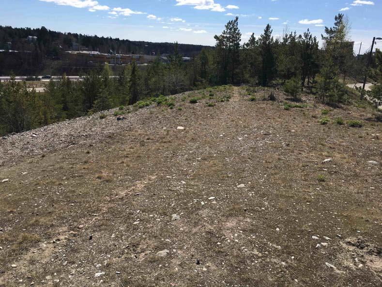 Ersätt Ersätt med med sidhuvud 7 sandmiljöer med ung tall Beskrivning av naturförhållanden Naturvärdesobjektet utgörs av två delobjekt med sandmark.