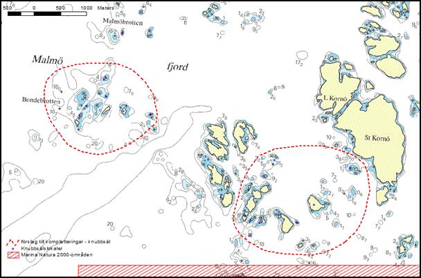 30 Figur 15 Det senast tillkomna Natura 2000 området för sälskydd, norr och söder om farleden in till Brofjorden, Malmö Fjord. Strax söder om ligger Gullmarsfjordens Natura 2000 område.