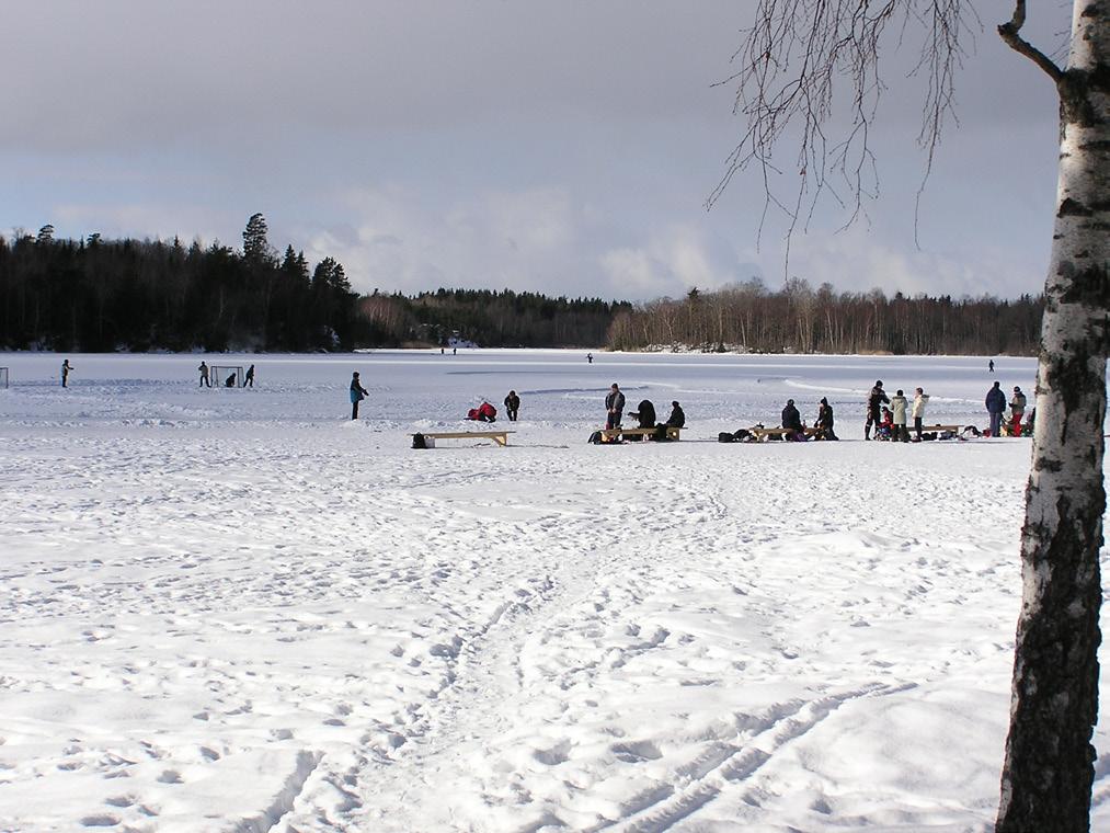 Vi tar en promenad i den fina miljön och slår oss ner vid grillplatsen, grillar korv och njuter av att vara ute.