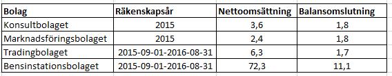 Bolagens omsättning och balansomslutning för de granskade räkenskapsåren framgår av nedanstående uppställning (belopp i mnkr).