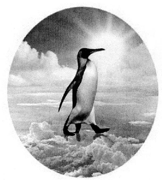 1397930 Designerad: 2018-01-04 Publicerad: 45/193 Figurklass: 01.03.08; 01.03.10; 03.07.08. Beskrivning Penguin. : Shenzhen headraising technology Co.