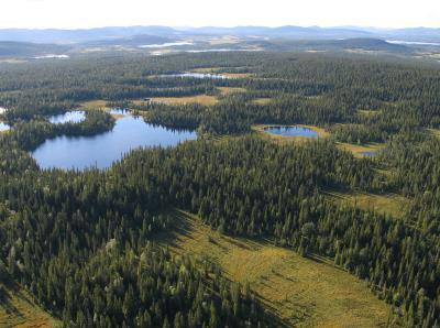 1. Inledning Miljöredovisningen visar utvecklingen inom ett antal prioriterade miljöområden.