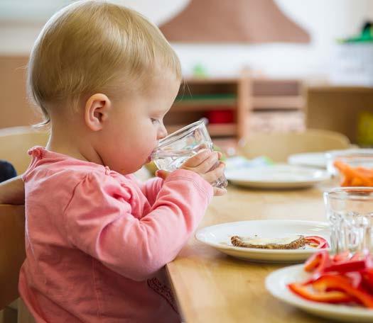 Områdena som utvärderas kan sorteras in under åtta övergripande rubriker.