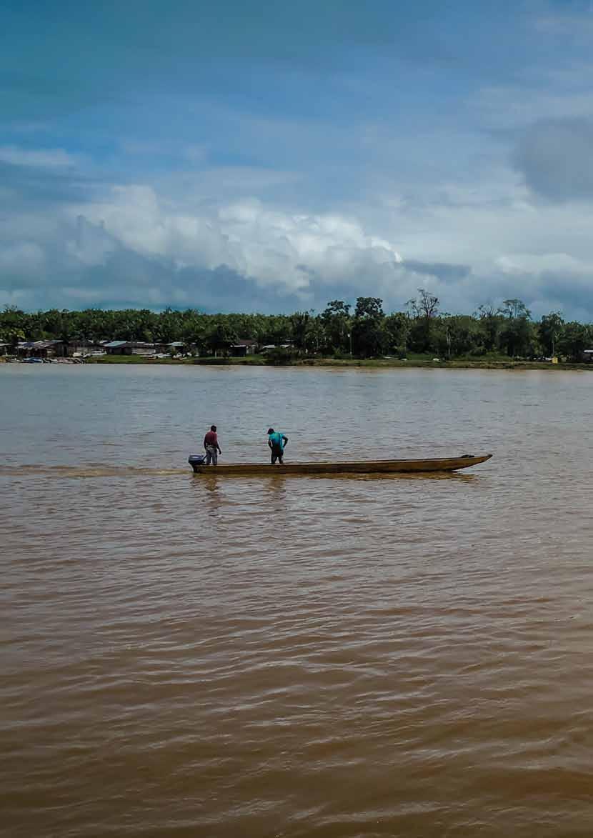 Årsredovisning I regionen Chocó vid Colombias Stilla havskust arbetar Kristna Fredsrörelsen för att skapa skydd åt bland andra El Consejo Comunitario Mayor