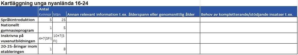 Beskrivning av målgrupp och samverkan kring unga nyanlända Nedan följer en beskrivning av samverkan kring målgruppen unga som ej slutfört gymnasium, såväl befintlig och önskad.