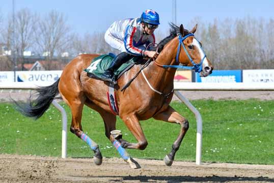 Breeders Trophy Classic Snake Lake före Appel La Légende Master Blaster Breeders Trophy Classic är, med sin enorma prissumma om över två miljoner kronor, alltid en av de största löpningarna i