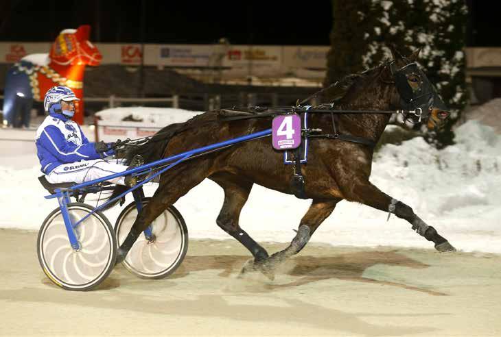 månadens häst mars2018 Tina Gel Foto: Hanold/Foto-Mike Foto:Hanold/Foto-Mike Sto 5 år e. Orlando Vici (Fr) u. Lady Mirabelle ue.