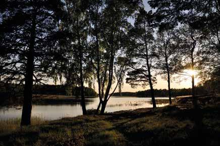 Jämställd samhällsplanering Samhällsplanering kan användas som ett verktyg för att främja jämställdhet mellan kvinnor och män.