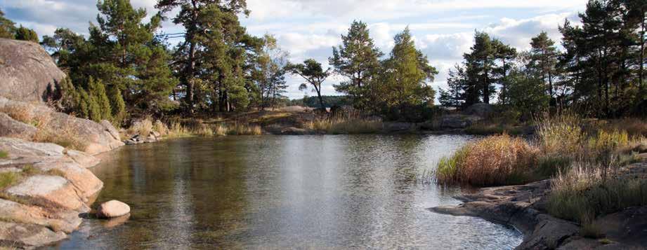 Om det finns särskilda skäl kan byggnation beviljas genom dispens från strandskyddet.