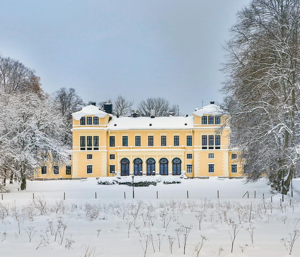 HALVSIDA STÅENDE 90 X 250 mm JULBORD 8-20 DEC + NYÅR!