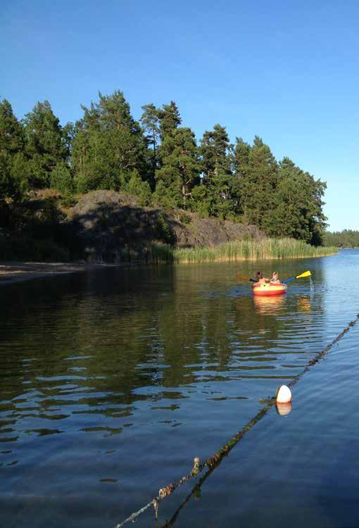 - många arter - bre