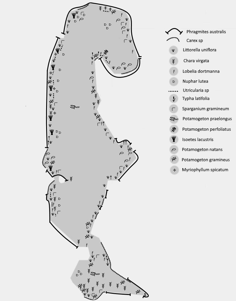 Bilaga 5. Växtlighetskarta för Södra Långsjön.