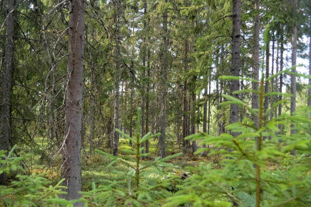 Lån och Inteckningar Fastigheten är fri från penninginteckningar. Fastigheten överlåts obelånad. Visning Enskild besiktning. Intresserade har möjlighet att på egen hand besöka Fastigheten.